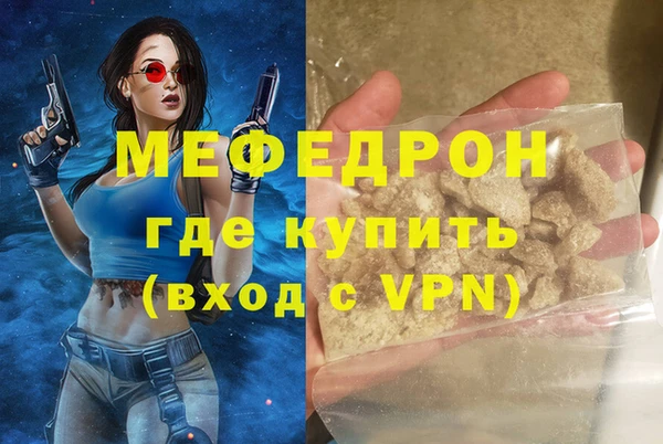 индика Нягань