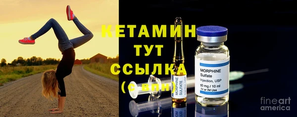 индика Нягань