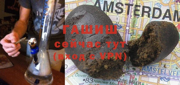 индика Нягань