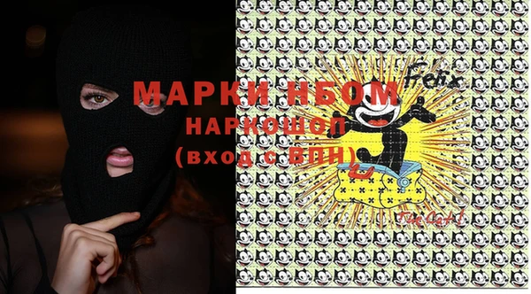 индика Нягань