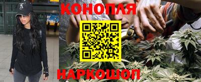 сатива Апрелевка