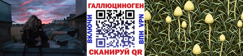 Галлюциногенные грибы Psilocybe Белореченск
