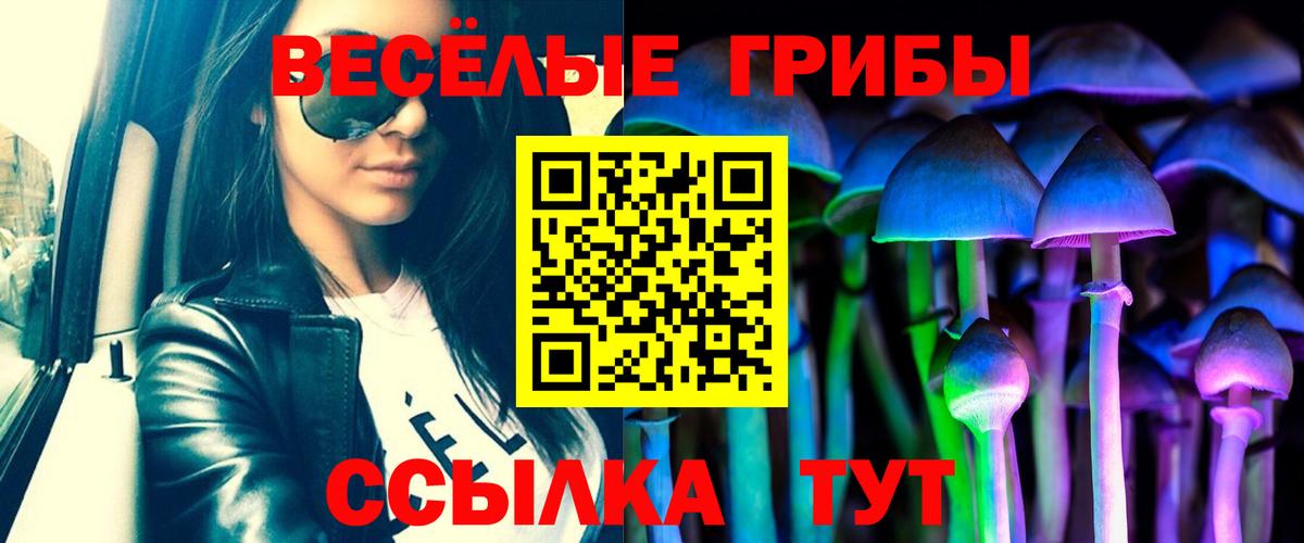 Псилоцибиновые грибы Psilocybe  Вход с VPN  Белореченск 