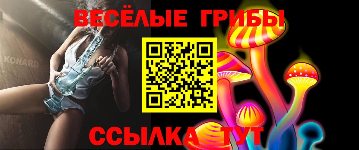 Псилоцибиновые грибы Psilocybe Белореченск